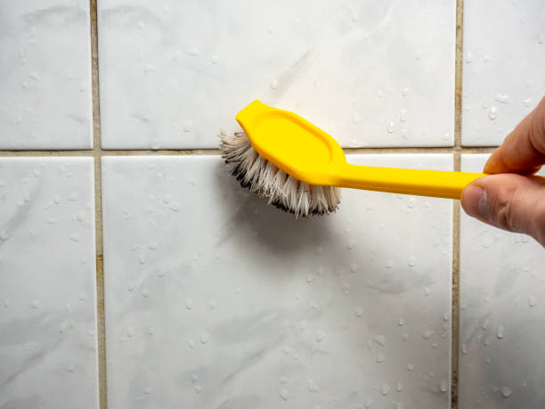  Fayetteville, AR Mold Removal Pros