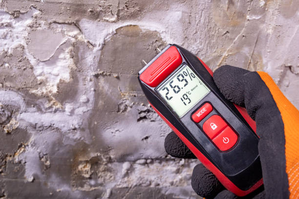 Home Mold Removal in Fayetteville, AR