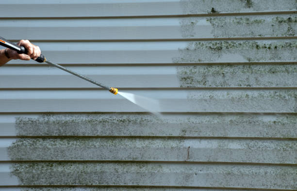 Best Attic Mold Removal  in Fayetteville, AR